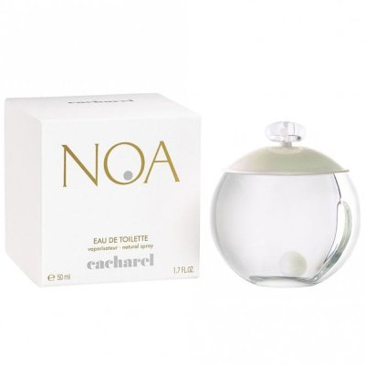 Nostrum Exercitationem