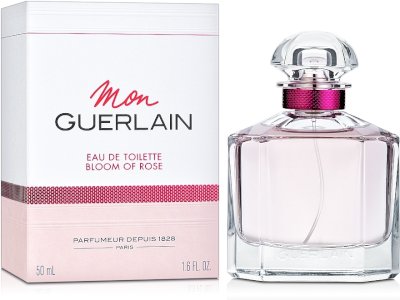 Nostrum Exercitationem