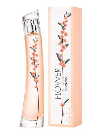 Nostrum Exercitationem